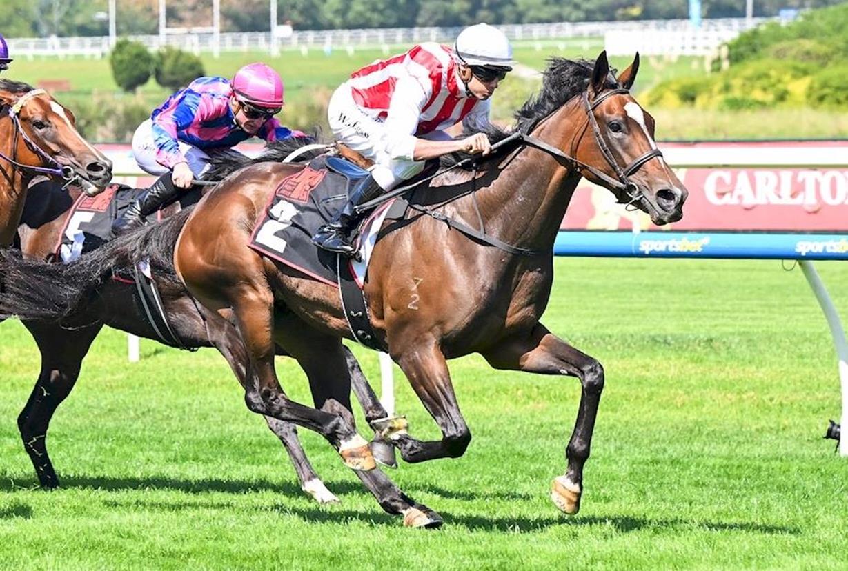 FABULOUS FEELING CONTINUES WINNING FORM